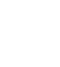 light logo