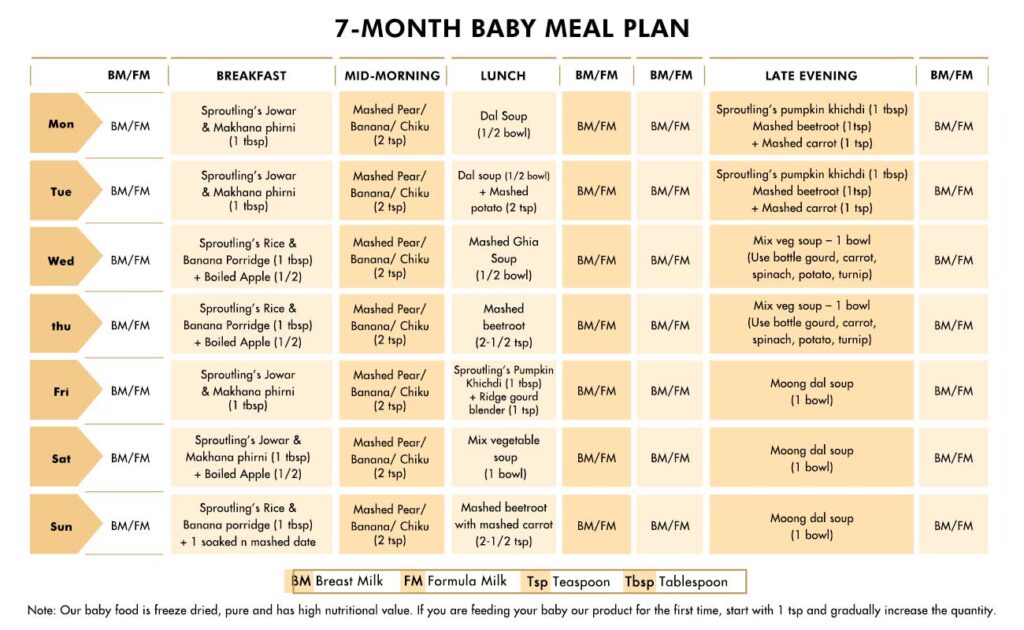 Meal Plan for 7- 8 Months old