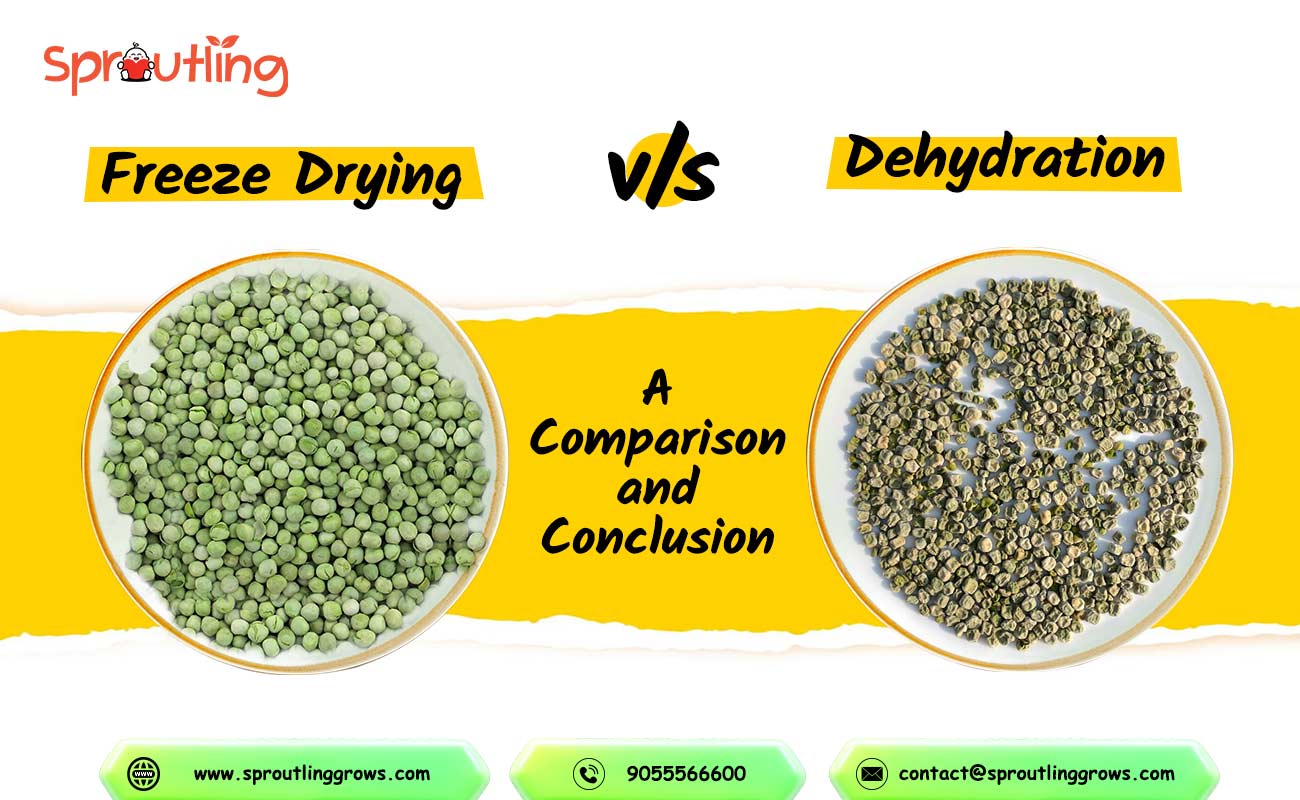 Freeze-Drying-Vs-Dehydration