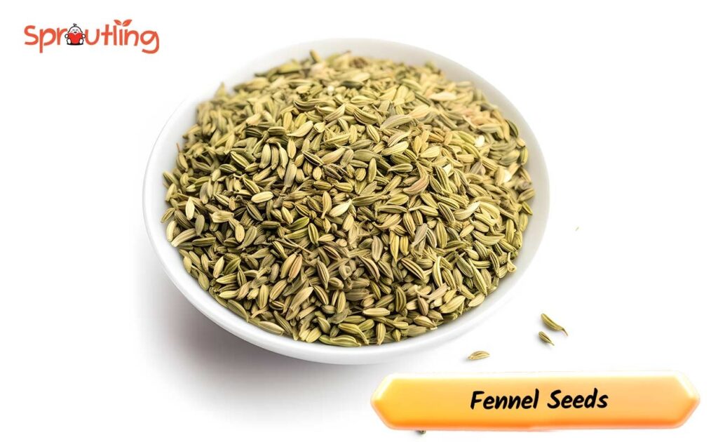 3. Fennel Seeds: Tiny Seeds with Big Impact