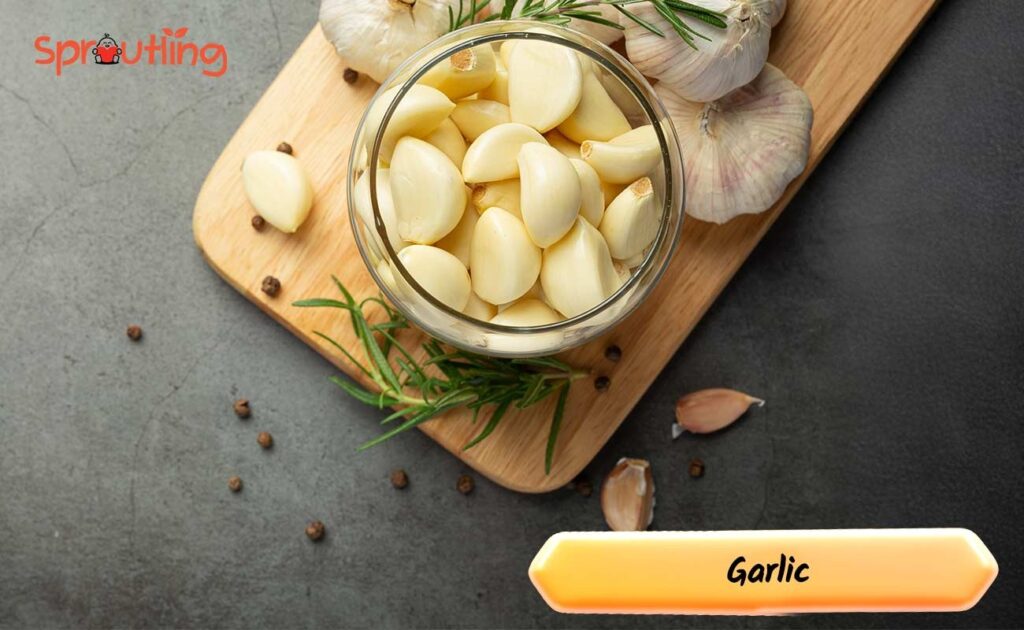 Garlic: A Flavorful Milk Supply Friend