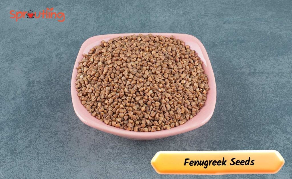 Fenugreek Seeds: A Herbal Favourite