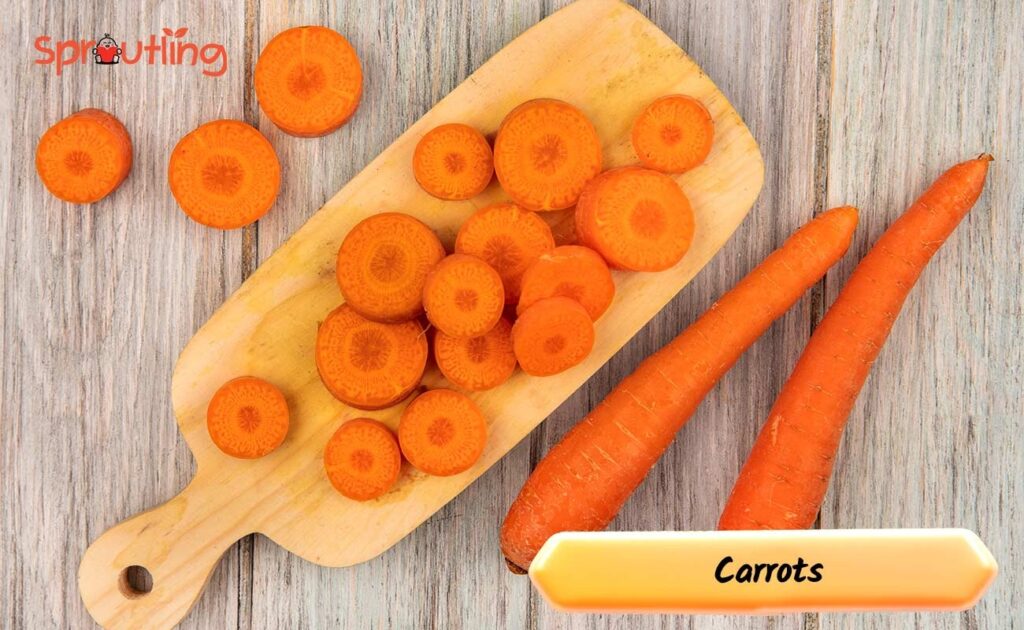 7. Carrots: A Crunchy Boost for Lactating Moms