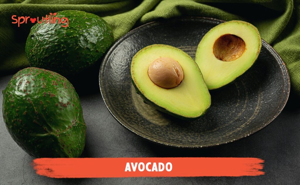 Avocado (Mashed)