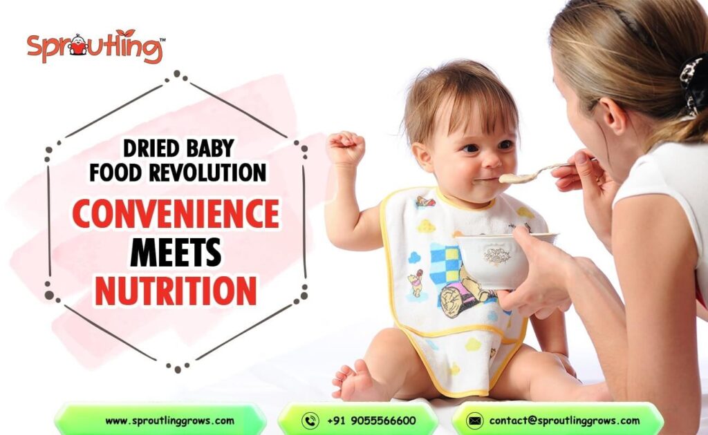 Dried Baby Food Revolution: Convenience Meets Nutrition