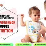Dried Baby Food Revolution: Convenience Meets Nutrition