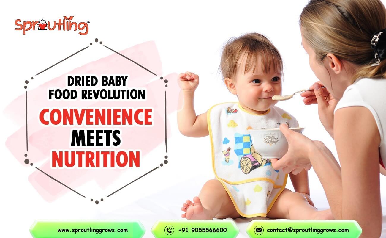 Dried Baby Food Revolution: Convenience Meets Nutrition