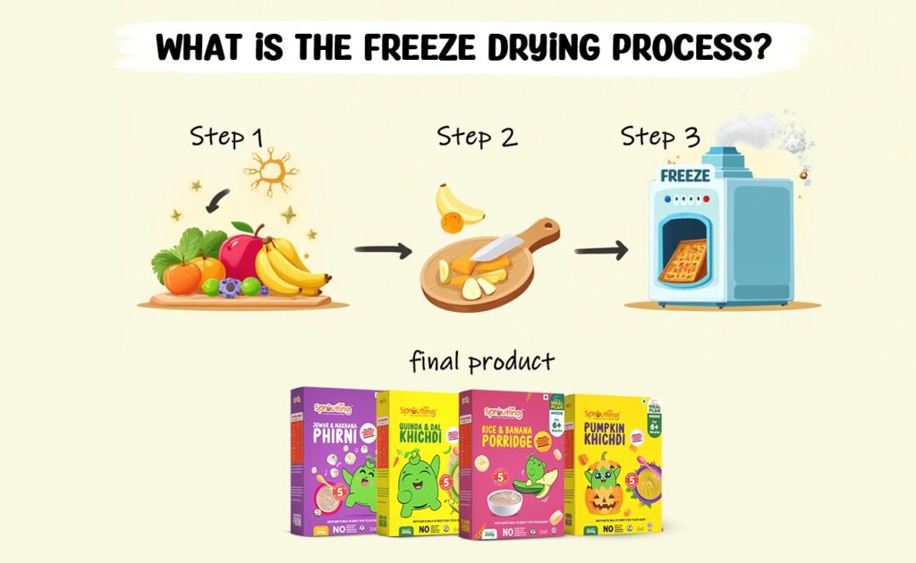 What is the Freeze Drying Process?