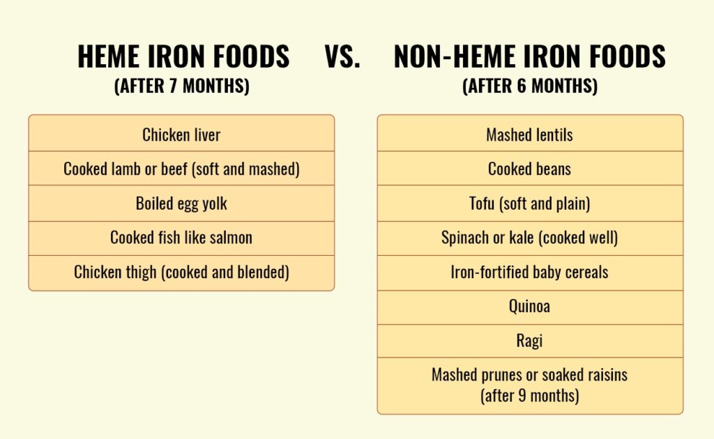Heme vs Non-Heme Iron Food