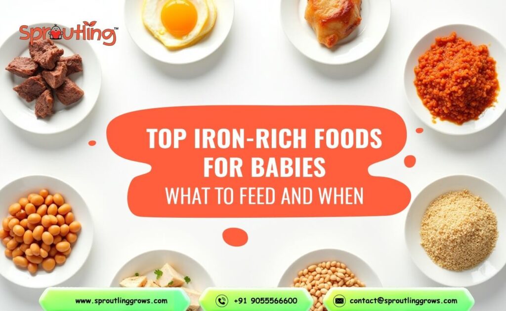 Top Iron-Rich Foods for Babies