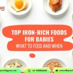 Top Iron-Rich Foods for Babies
