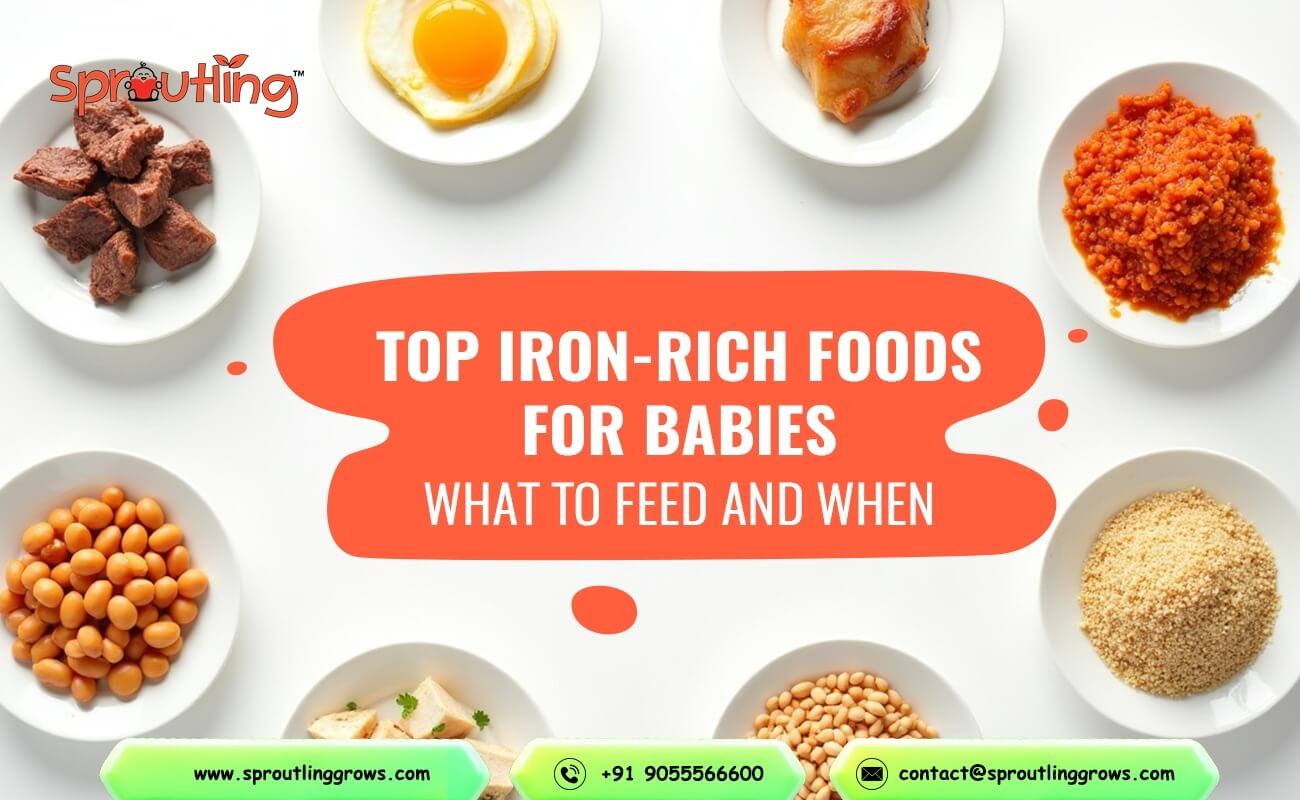 Top Iron-Rich Foods for Babies