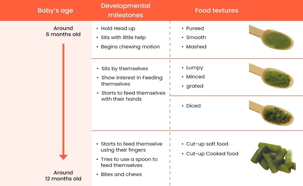 Types of Baby Food by Age