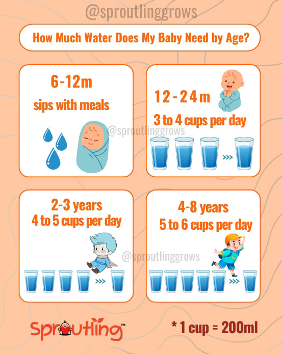How Much Water Does My Baby Need by Age?
